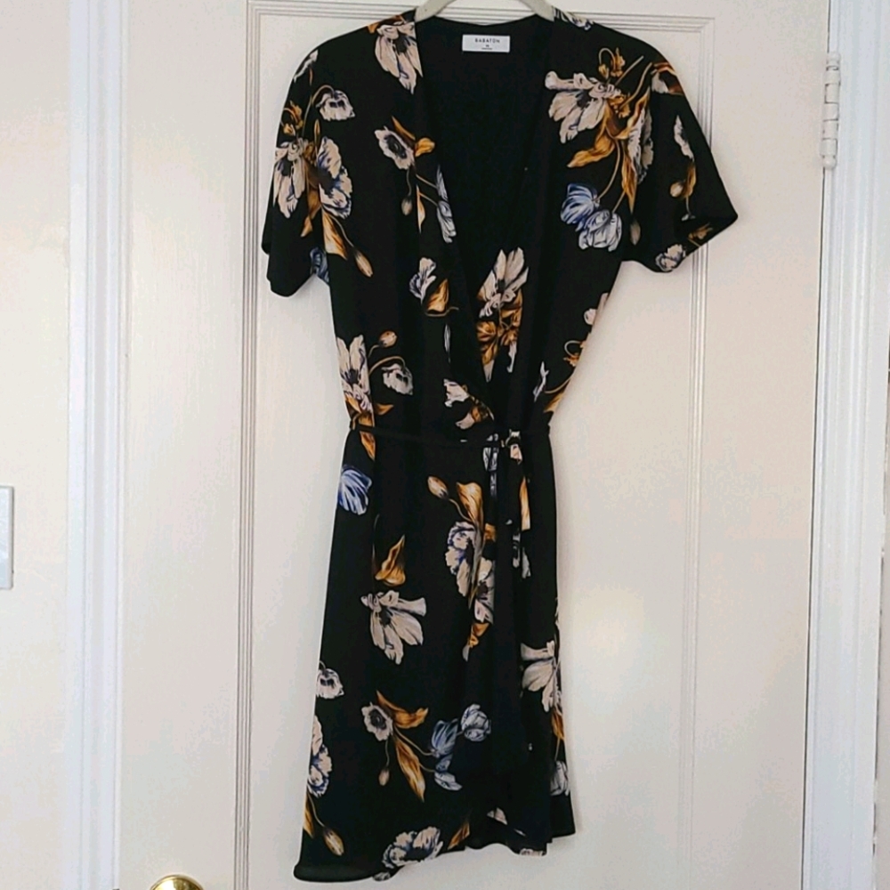 Aritzia Babaton Wallace Dress